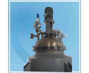 200L Pilot Reactor